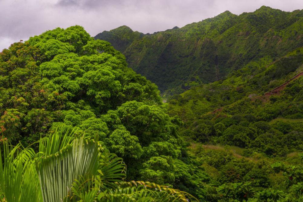 Hale Ho'O Maha Bed And Breakfast Hanalei Exterior foto